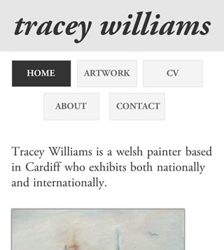 screenshot of navigation on mobile portrait mode